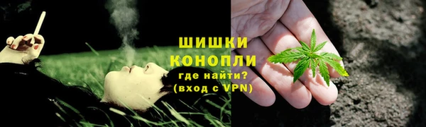 стафф Карпинск