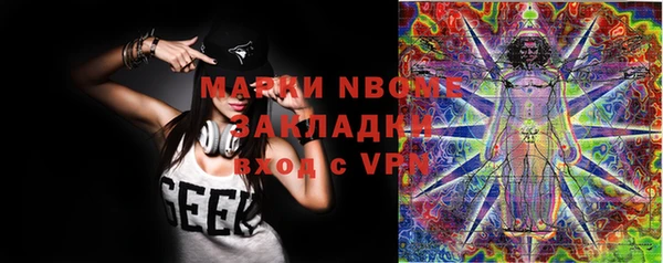 стафф Карпинск